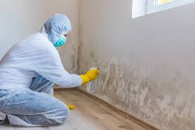 Mold Removal for HVAC Installations in Hennessey, OK